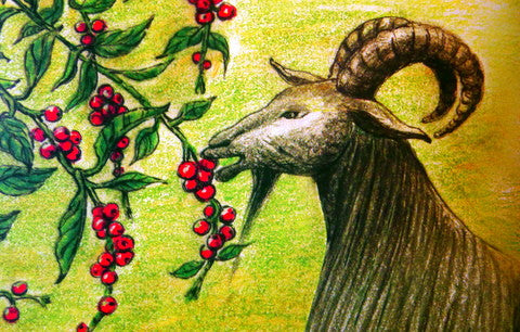 The Fascinating Journey of Coffee: From Ethiopian Legend to Global Phenomenon